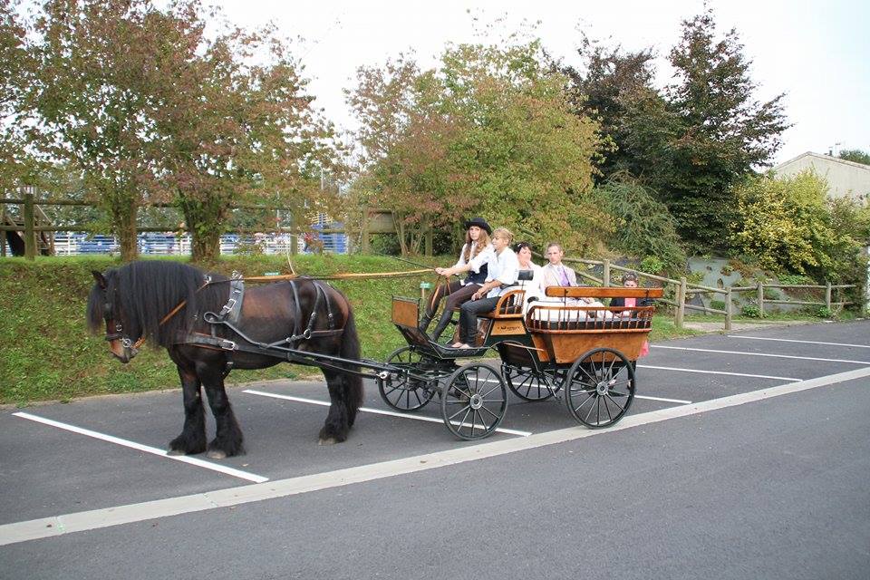 Location de calèche lors de votre mariage